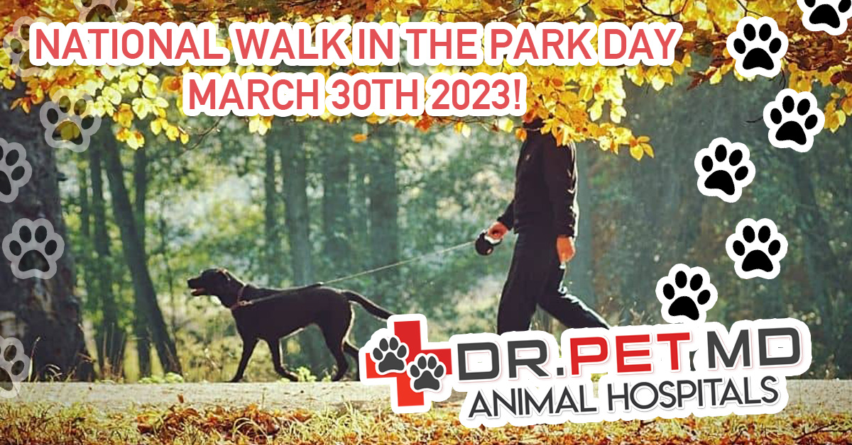 dr pet md walk in the park day